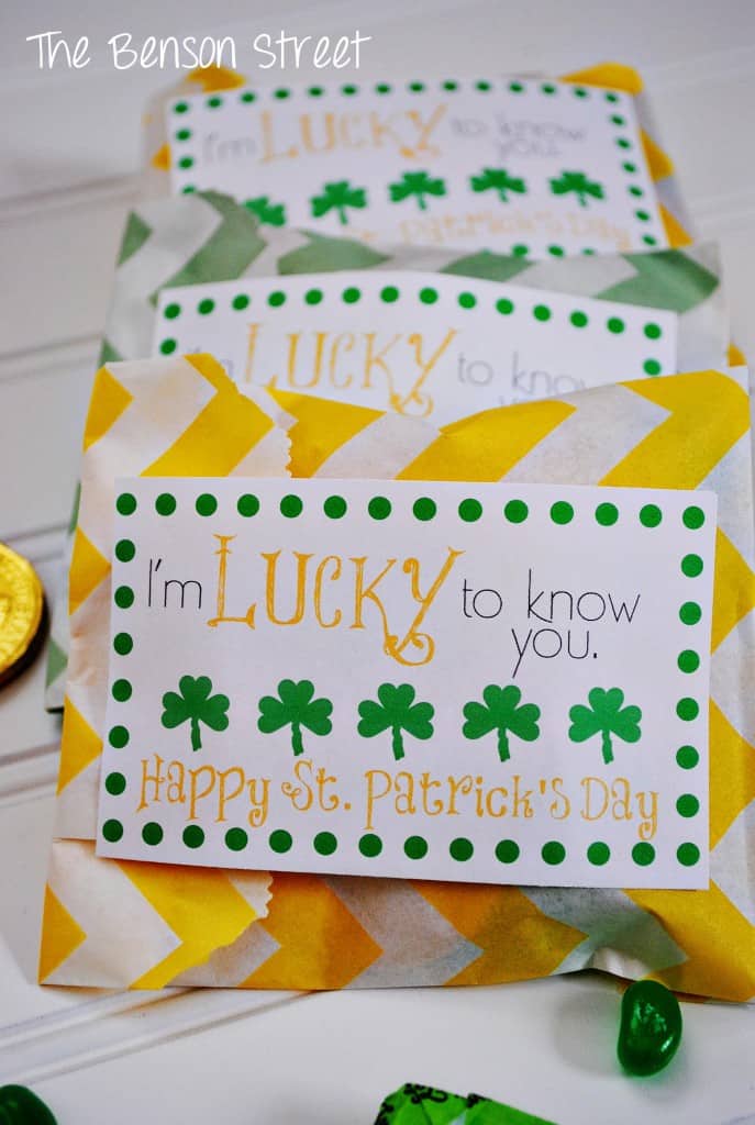 2Lucky Treat Bags at www.thebensonstreet.com