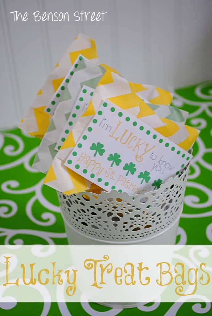 4Lucky Treat Bags at www.thebensonstreet.com