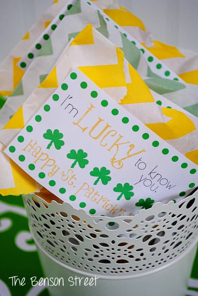 6Lucky Treat Bags at www.thebensonstreet.com