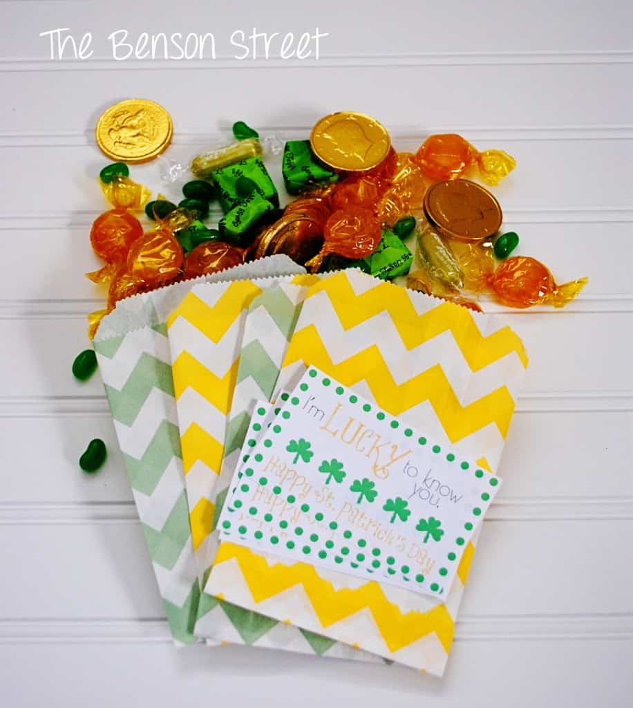 7Lucky Treat Bags at www.thebensonstreet.com