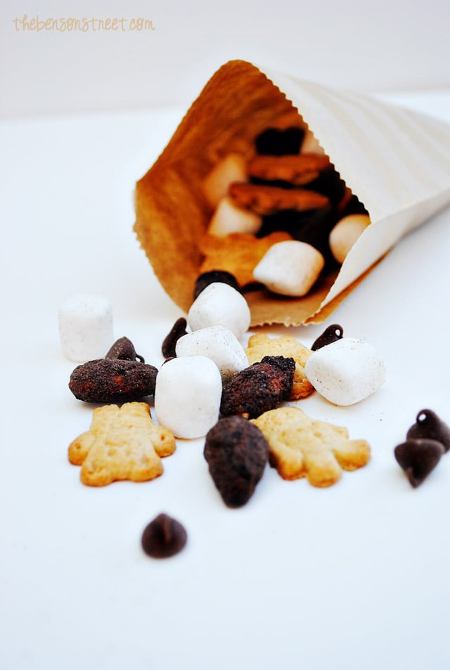 Quick & Easy S'mores Trail Mix at thebensonstreet.com