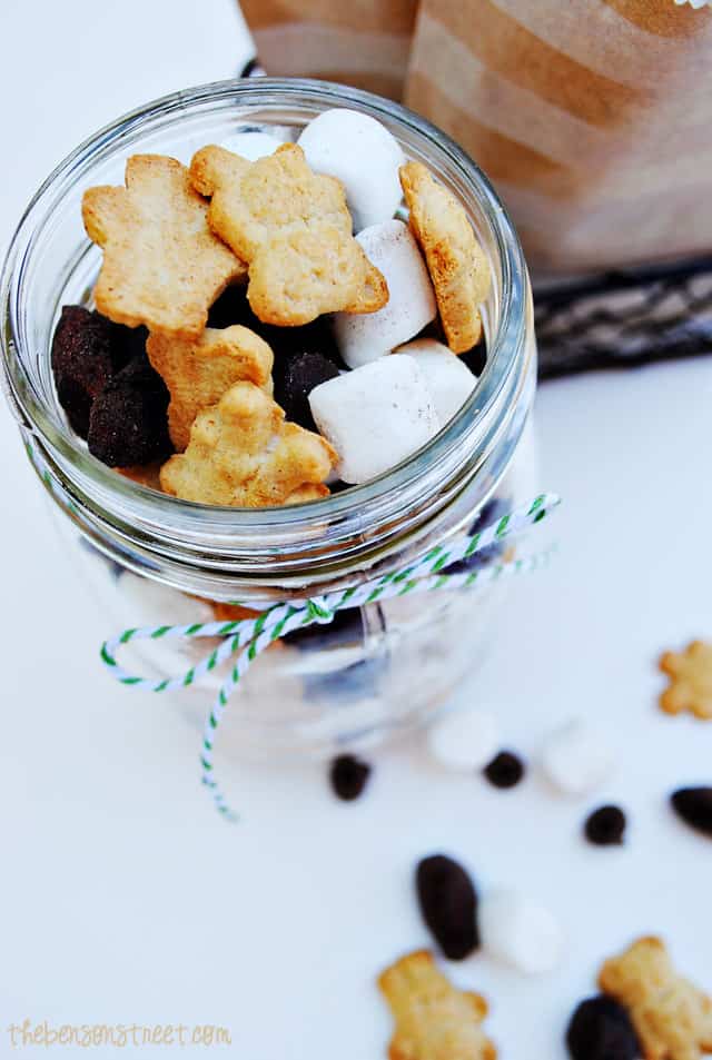 Yummy S'mores Trail Mix Recipe at thebensonstreet.com